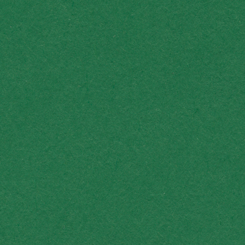 English Cardboard 50x65cm 1 Sheet - 160 g - Dark Green image
