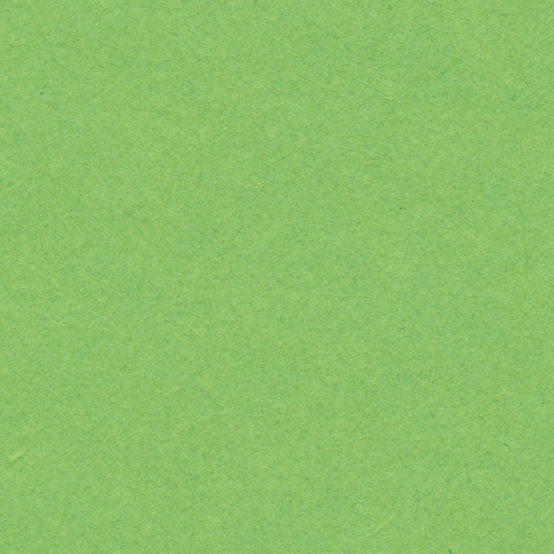 English Cardboard w/ Fold 50x65cm 1 Sheet - 280 g - Spring Green image