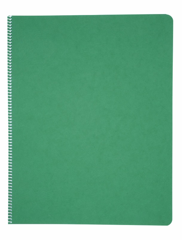 Literacy Main Lesson Books - Green image