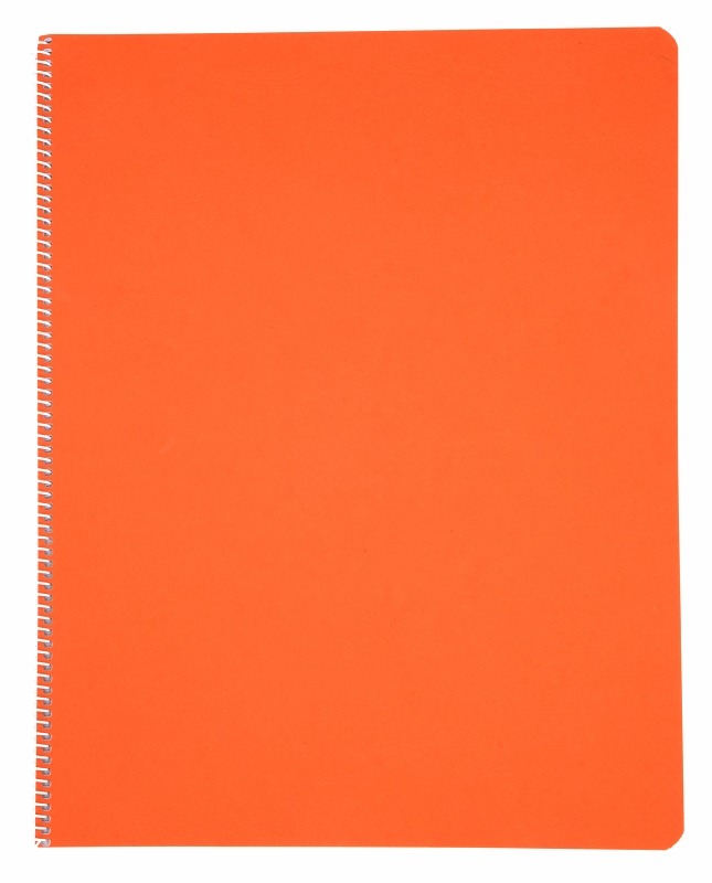 Literacy Main Lesson Books - Orange image