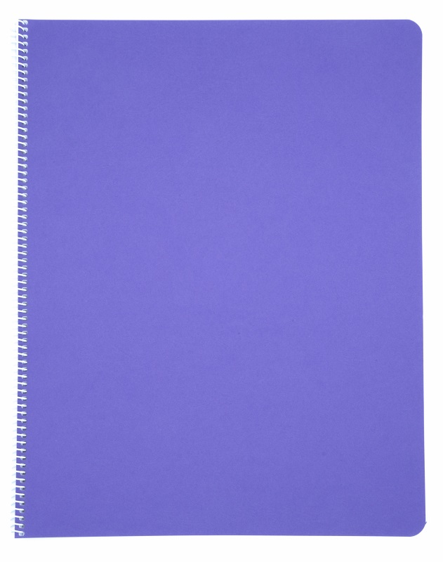 Literacy Main Lesson Books - Purple image