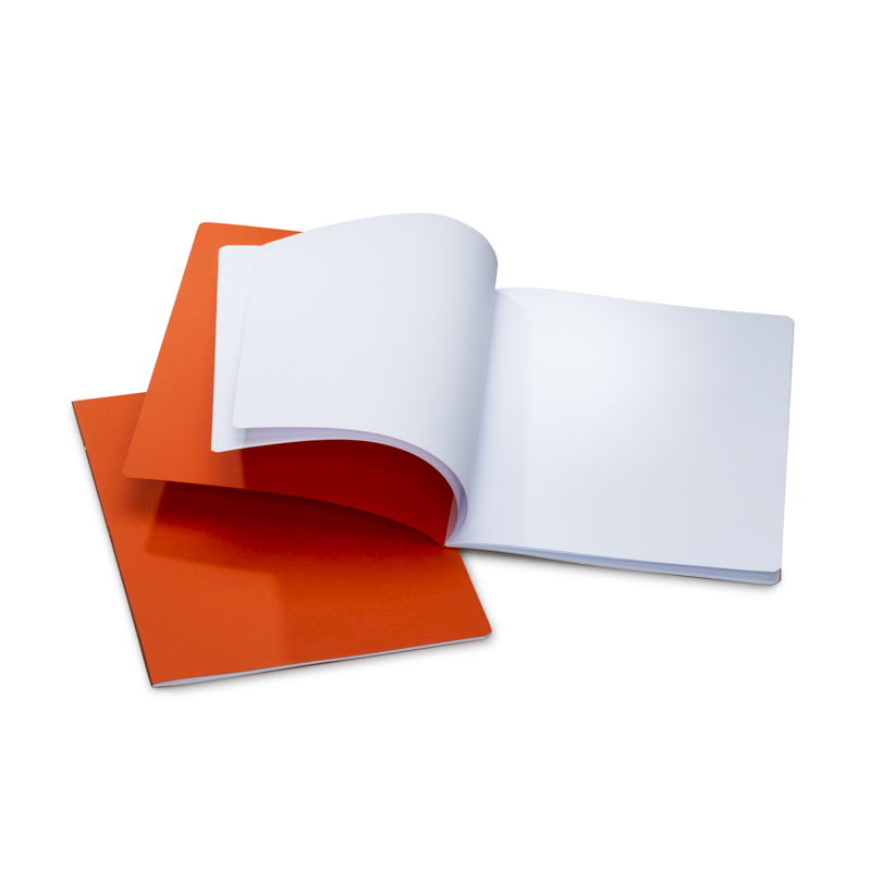 MLB 32x24cm Portrait Format w/ Onion Skin Pack of 10 - Orange image