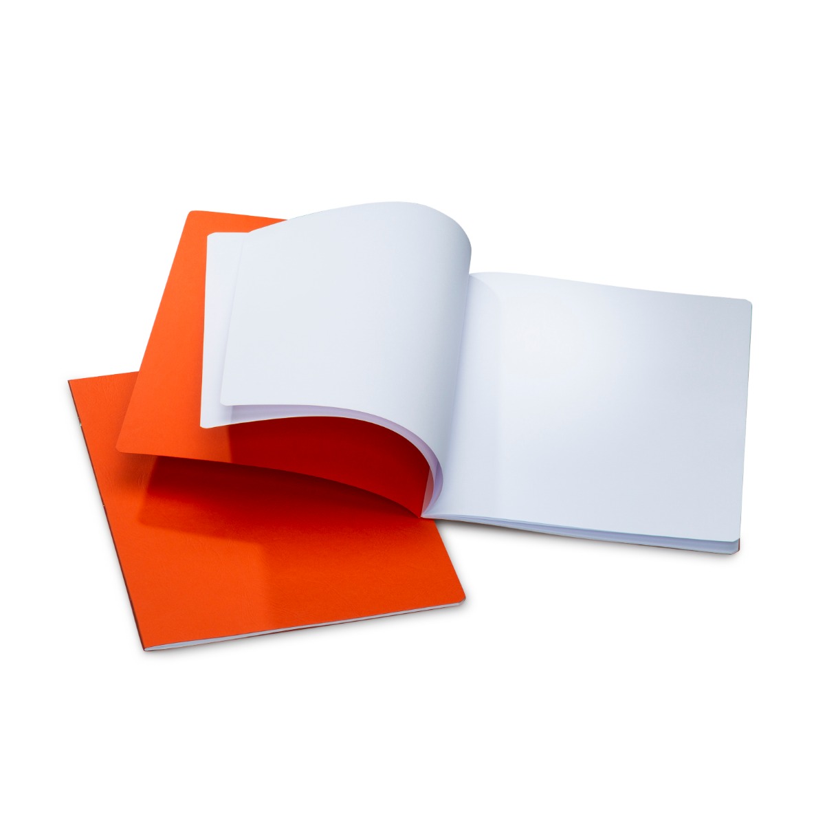 MLB 32x38cm Portrait Format Pack of 10 - Orange image