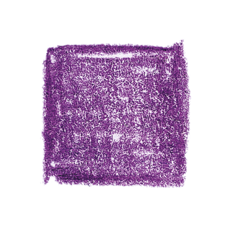 Lyra Pencils Rembrandt Polycolour Box of 12 - Magenta image