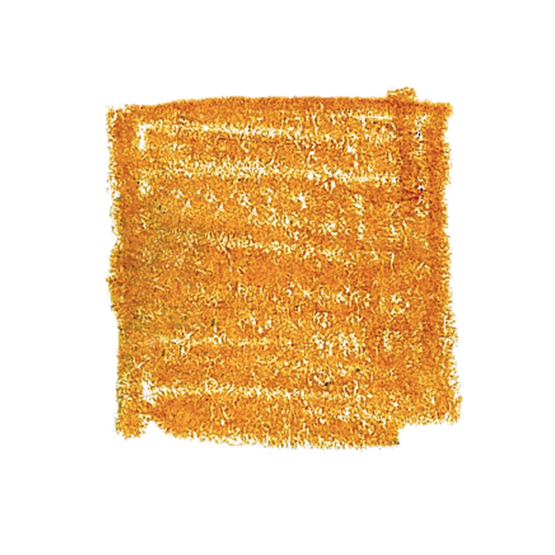 Lyra Pencils Rembrandt Polycolour Box of 12 - Gold Ochre image