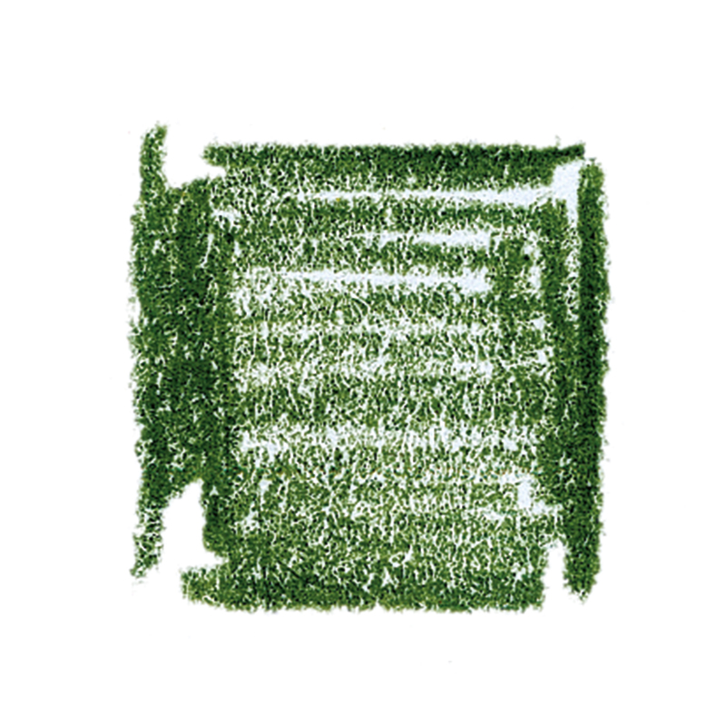Lyra Pencils Rembrandt Aquarelle Box of 12 - Cedar Green image