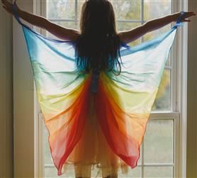 Sarah's Silks Silk Wings - Dragonfly