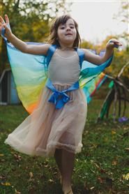 Sarah's Silks Silk Wings - Fairy